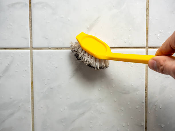 Cimarron, KS Mold Removal Company