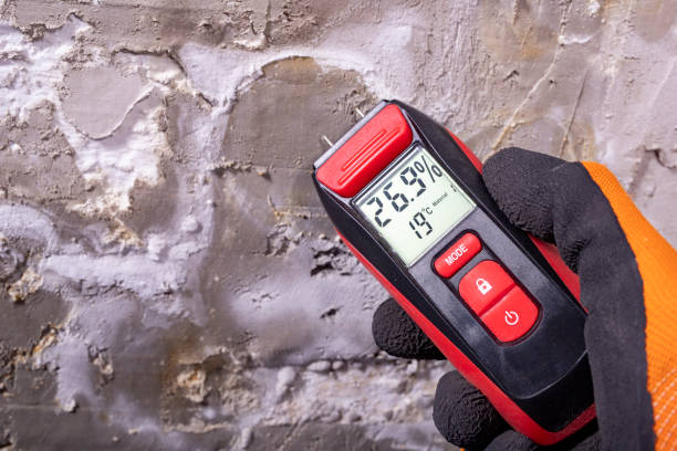 Best Fast Mold Removal  in Cimarron, KS