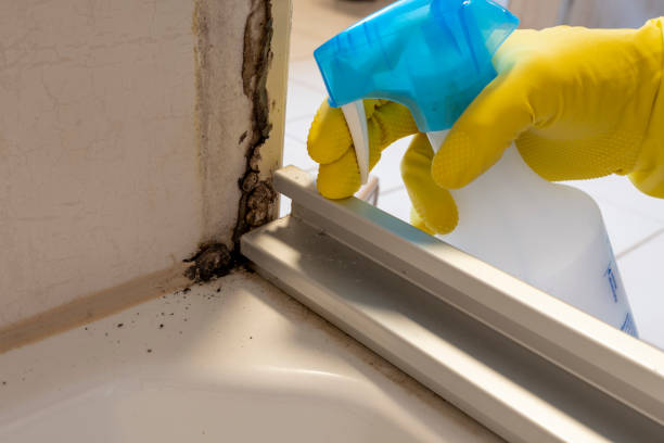 Best Professional Mold Removal  in Cimarron, KS