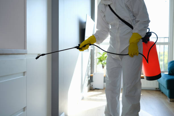 Best Commercial Mold Removal  in Cimarron, KS