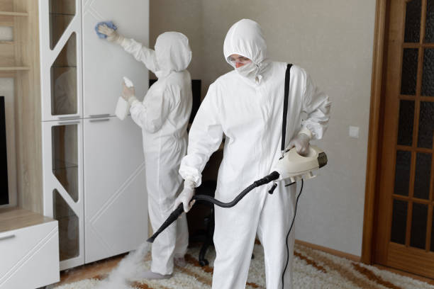 Best Toxic Mold Removal  in Cimarron, KS