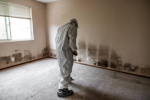 Best Crawl Space Mold Removal  in Cimarron, KS