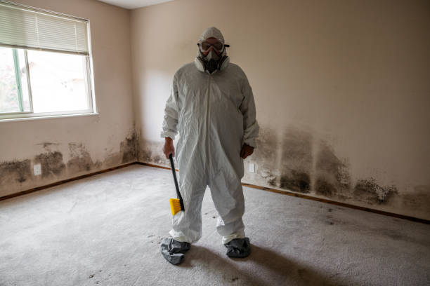 Best Mold Testing  in Cimarron, KS