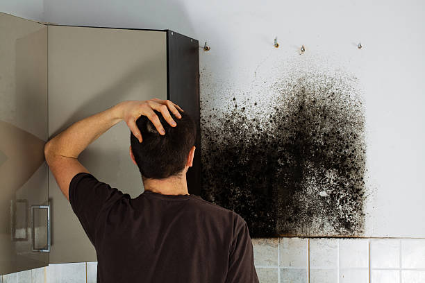 Best Affordable Mold Removal  in Cimarron, KS